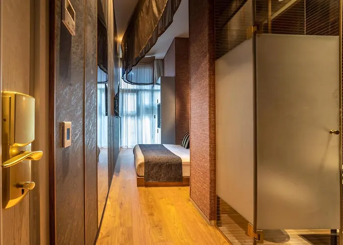 Modern King Room